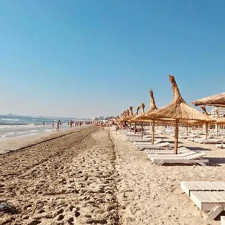 Blue Bike Seacoast Studio Mamaia